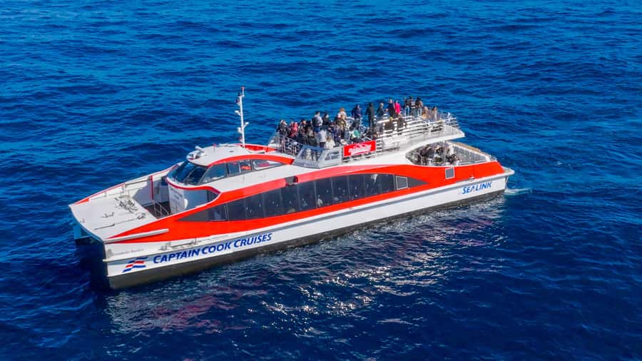 Sydney: Whale Watching & Wildlife Cruise - The Wildlife-Spotting Game: Following Pods Without Getting Too Close