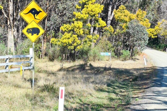 Sydney Wildlife Safari - The Afternoon Wildlife Walk: Birds First, Clues Everywhere