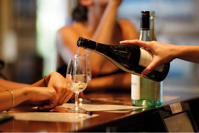 Sydney Wine Tours - Private Wine Tasting Tour to Hunter Valley - Who this tour is best for (and who should skip it)