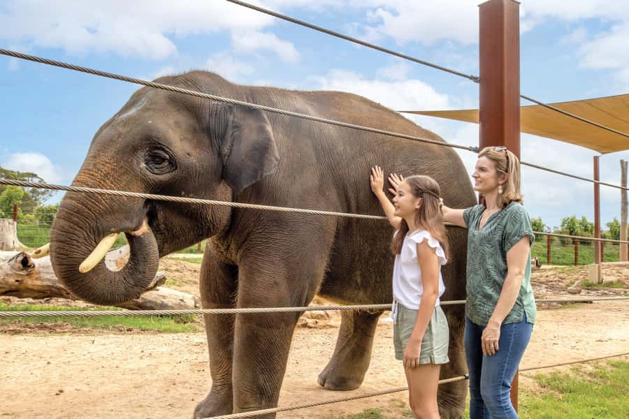 Sydney Zoo Admission Ticket - Primate Boulevard and south-east Asia: close watching with calmer pacing