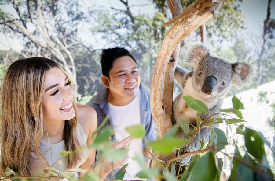 Sydney Zoo Admission Ticket - Conservation and recovery: how your ticket supports more than watching