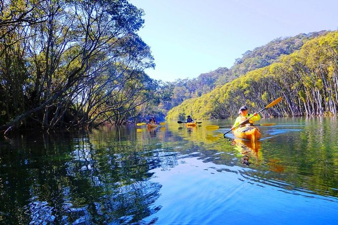 Sydney's Middle Harbour Sea Kayaking Eco Tour (Fully Guided) - Getting to Smith’s Boat Shed and starting without fuss