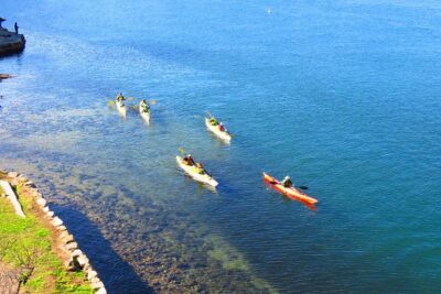 Sydney's Middle Harbour Sea Kayaking Eco Tour (Fully Guided) - Price and value: what $118.35 covers (and why it’s not just the kayak)