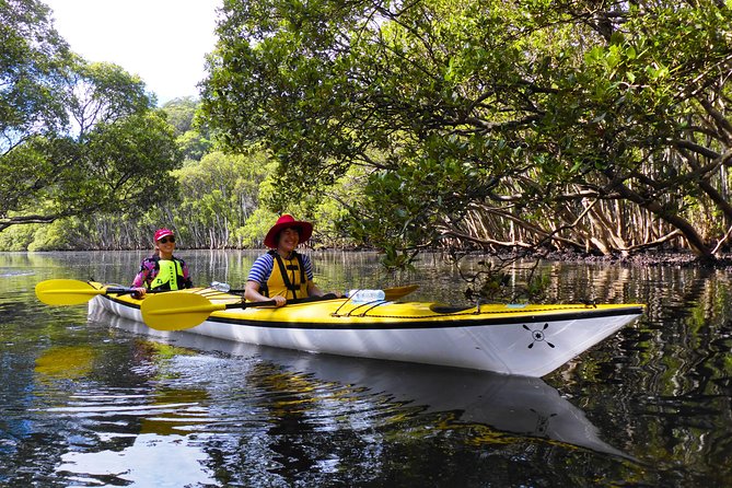 Sydney's Middle Harbour Sea Kayaking Eco Tour (Fully Guided) - The route logic: from waterfront suburbs to Garigal’s quieter water