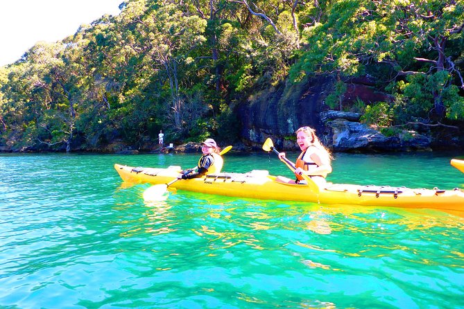 Sydney's Middle Harbour Sea Kayaking Eco Tour (Fully Guided) - Garigal National Park stop: scenery, wildlife, and what you’ll watch for