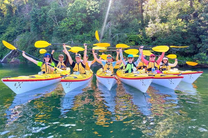 Sydney's Middle Harbour Sea Kayaking Eco Tour (Fully Guided) - What the safety and equipment instruction actually does for you