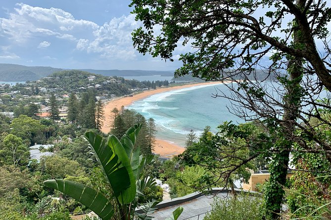 Sydney's Northern Beaches & Ku-ring-gai National Park Small Tour departing Manly - West Head lookout: where the views feel like a topographic map