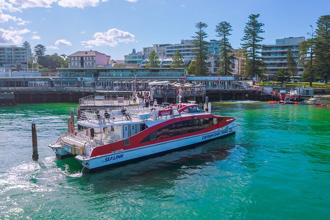 Taronga Zoo Entry & Sydney Harbour 2-Day Hop On Hop Off Cruise - Stop 4: Shark Island—harbour middle-of-the-action energy