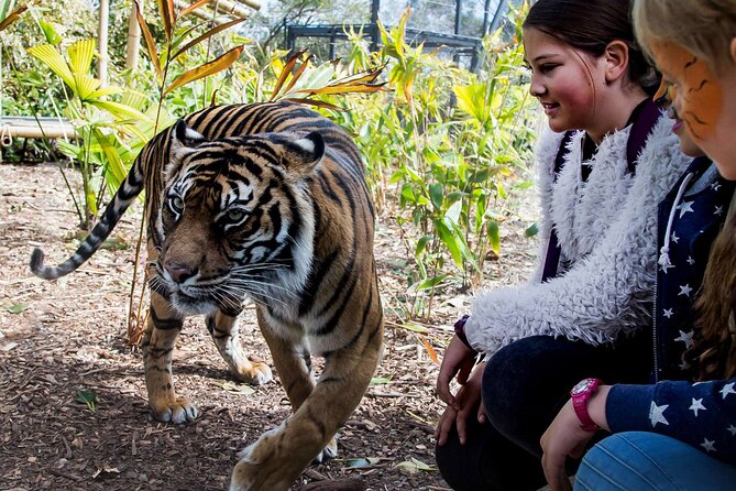 Taronga Zoo + Ferry Return Ticket - Taronga Zoo + Harbour Hopper: why this combo makes sense