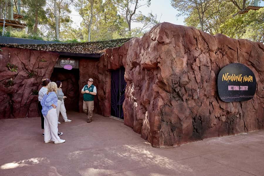 Taronga Zoo Sydney Wild Australia Experience - Inside the Australian Nightlife exhibit: nocturnal animals with real context