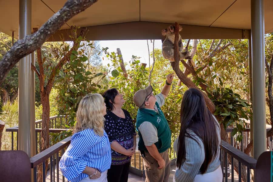Taronga Zoo Sydney Wild Australia Experience - The small group setup (max 6): calmer, clearer, more personal
