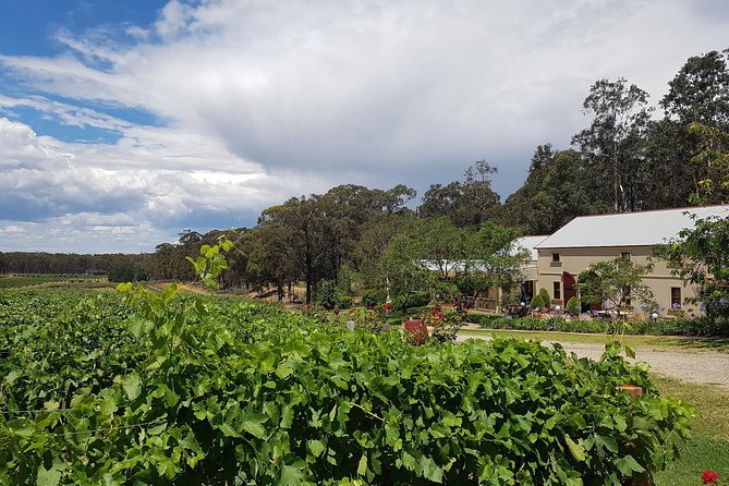 Tintilla Estate: Wine Tasting with a Meat and Cheese Platter - Entering Tintilla Estate’s Vineyard-Deck Tasting Scene