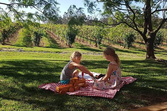 Tintilla Estate: Wine Tasting with a Meat and Cheese Platter - Timing, Seating, and Getting the Most Out of Your Hour