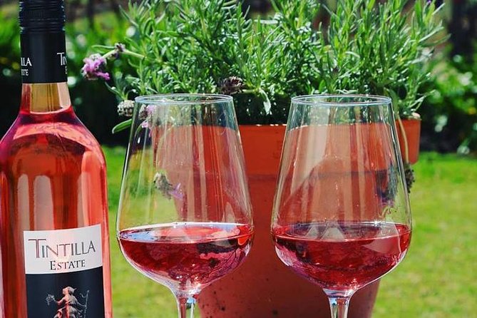 Tintilla Estate: Wine Tasting with a Meat and Cheese Platter - The Eight-Wine Guided Flight: More Than Just Pouring