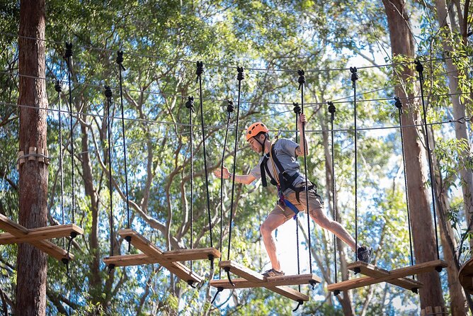 Treetops Adventure The Hills - Tree Ropes Course - Picking the right course: difficulty options for kids and adults