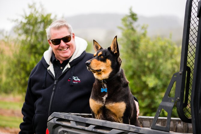 Truffle Hunt and Taste Experience in Oberon, NSW Australia - Warm Up Again: Savory Tastings and Truffle Grading