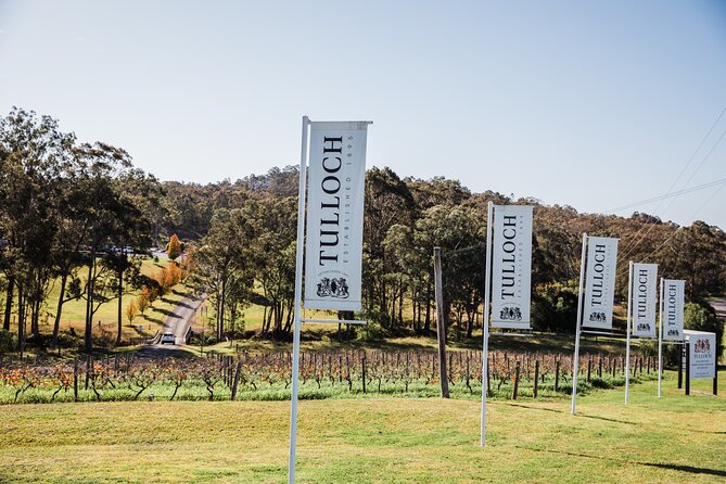 Tulloch Wines Hunter Heroes Wine Tasting with Local Cheese & Charcuterie Board - Kids get their own tasting: soft drinks and kombucha included