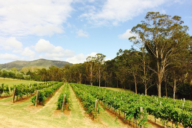 Tulloch Wines- Mystery Wine Tasting Experience with Local Cheese and Charcuterie - Price and Value: Is $38.01 Worth It?