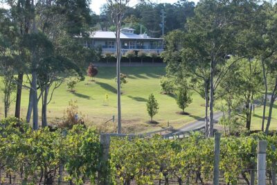 Tulloch Wines- Tasting of 6 Pokolbin Dry Red Shiraz Vintages with Charcuterie - The 1-hour flow: how your tasting session actually plays out