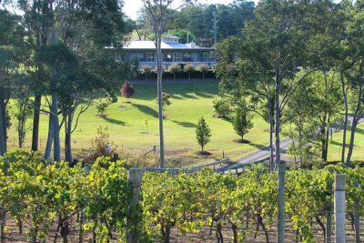 Tulloch Wines - Wine Tasting paired with Local Handmade Chocolates - Meet the guides: where the explanations land