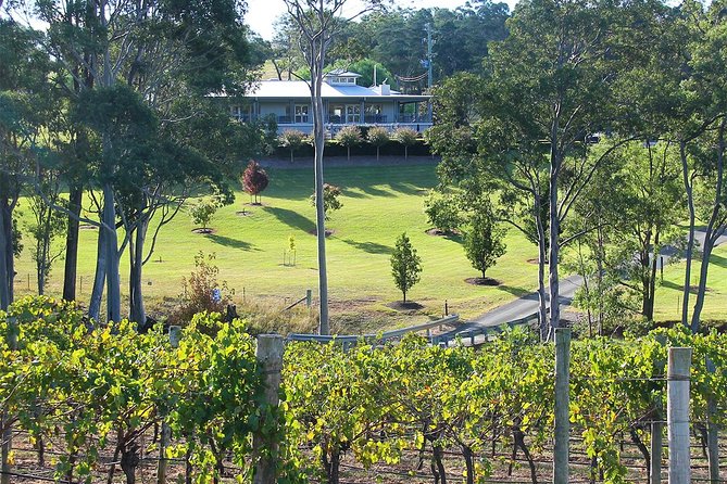 Tulloch Wines - Wine Tasting paired with Local Handmade Chocolates - Meet the guides: where the explanations land