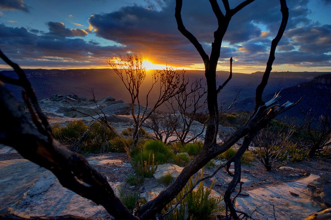 Ultimate Blue Mountains and Wildlife Tour - Key highlights worth knowing