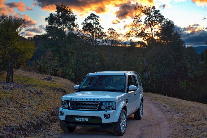 Ultimate Blue Mountains and Wildlife Tour - A wildlife-focused day outside Sydney