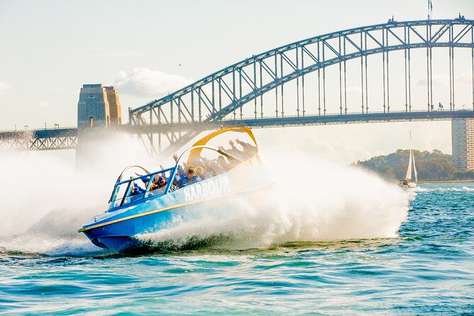 Ultimate Blue Mountains and Wildlife Tour - What the guide actually adds to the day
