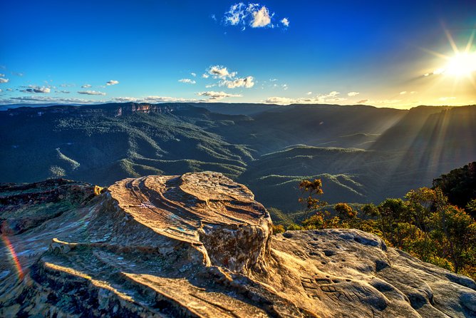 Ultimate Blue Mountains and Wildlife Tour - The small-group advantage (and why it changes the whole day)