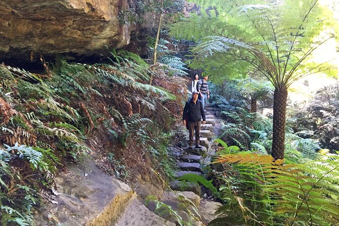 Ultimate Blue Mountains Private Tour with Scenic World and Wildlife Park - The Scenic World Combo: Skyway, Railway, and Cableway