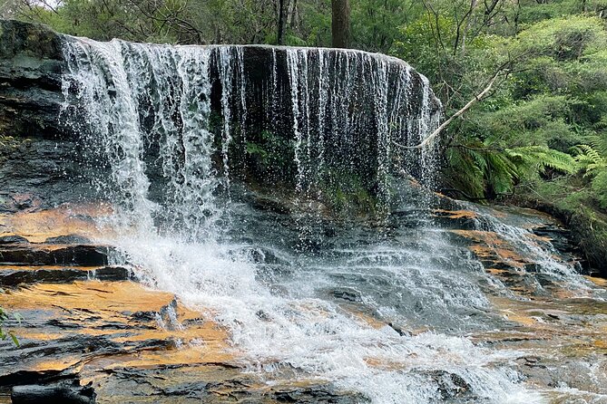 Ultimate Blue Mountains Private Tour with Scenic World and Wildlife Park - Featherdale Wildlife Park: Koalas, Kangaroos, and the Real Down-to-Earth Fun