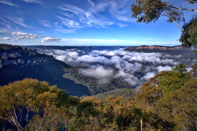 Unforgettable Blue Mountains Day Tour - Why a five-person group makes the Blue Mountains feel personal