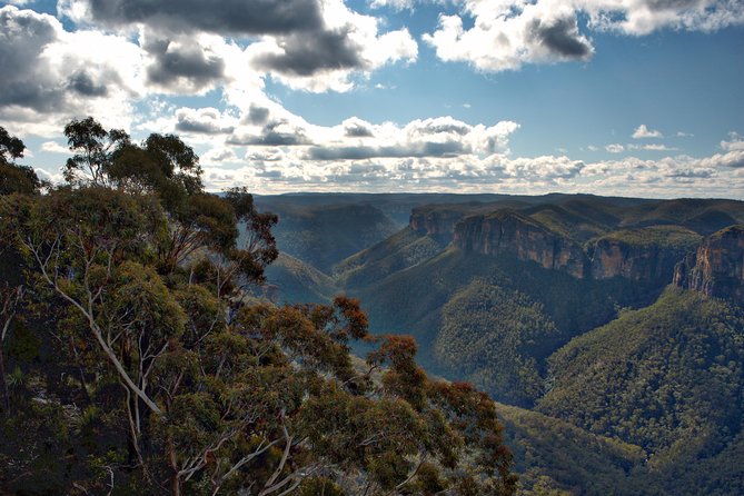 Unforgettable Blue Mountains Day Tour - Who should book this Blue Mountains Eco Tours day?