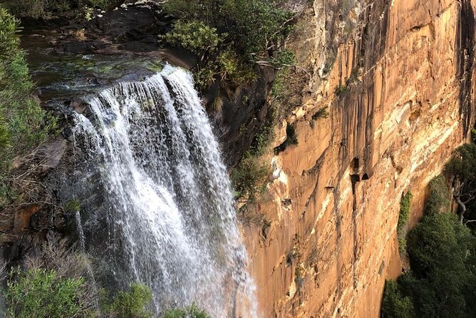Walking with Wild Wombats Private Day Trip from Sydney - Price and value: what $426.76 per person buys you