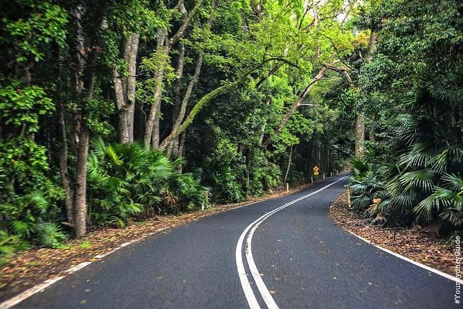 Waves Waterfalls and Wineries Full-Day Southern Highlands Private Tour - Getting out of Sydney without losing your whole day