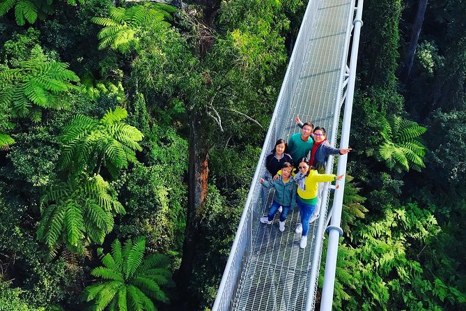 Waves Waterfalls and Wineries Full-Day Southern Highlands Private Tour - Georgian-era towns, winery lunch, and tasting time