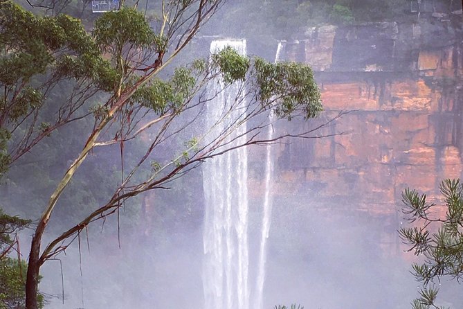Waves Waterfalls and Wineries Full-Day Southern Highlands Private Tour - Private guide energy: Scott’s role in making the day work