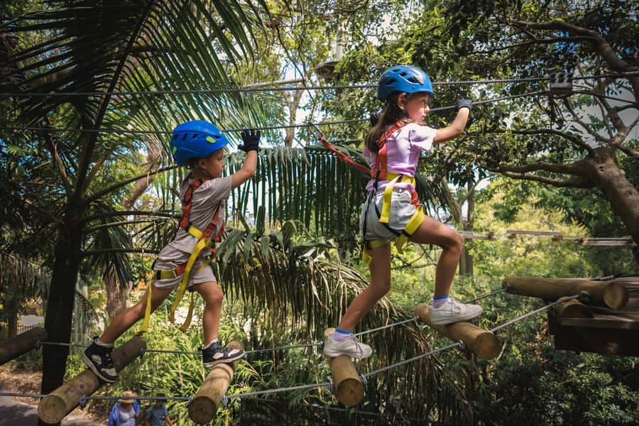 Western Sydney: Junior Tree Ropes Courses - Key highlights worth knowing