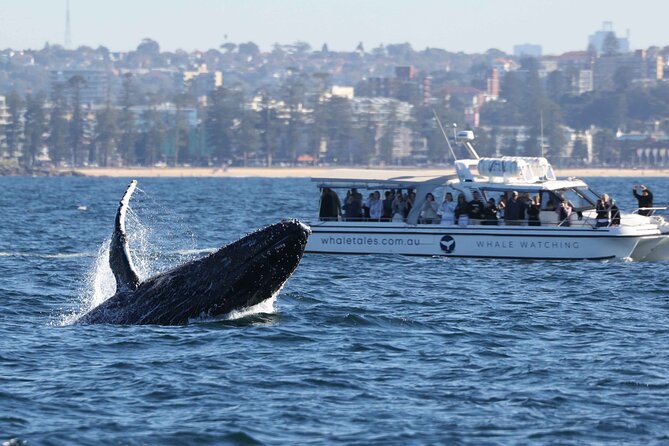 Whale Watching Boat Trip in Sydney - Sydney Harbour Bridge and Opera House: The Stops That Set You Up