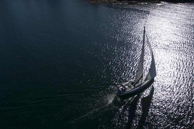 Whale Watching Sailing Experience in Sydney - The Whale-Watching Mission in the Tasman Sea
