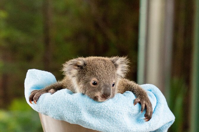 WILD LIFE Sydney Entrance Ticket - Nine habitats and about 6,000 animals: what that means in real life