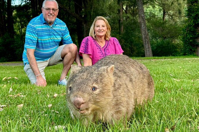 WILD Wombat and Kangaroo Day Tour, All Inclusive - Key takeaways before you go