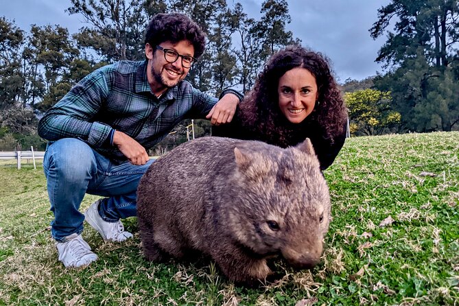 WILD Wombat and Kangaroo Day Tour, All Inclusive - Southern Highlands Wildlife Time: Where the Day Becomes the Day