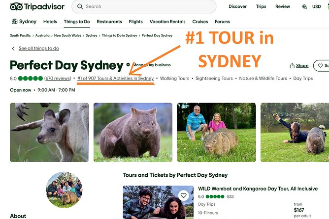 WILD Wombat and Kangaroo Day Tour, All Inclusive - Small-Group Size That Helps You See (Not Just Stand Around)