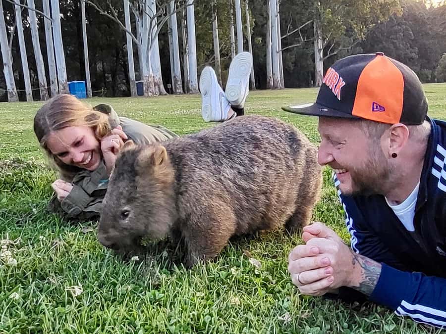 WILD Wombats and Kangaroo Experience, All Inclusive, Sydney - Why This Sydney Wildlife Day Trip Feels Different Than a Typical Tour