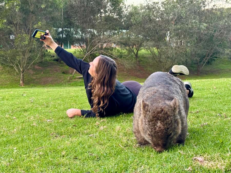 WILD Wombats and Kangaroo Experience, All Inclusive, Sydney - Price and Value: What $176 Covers (and Why It’s Not Just Marketing)