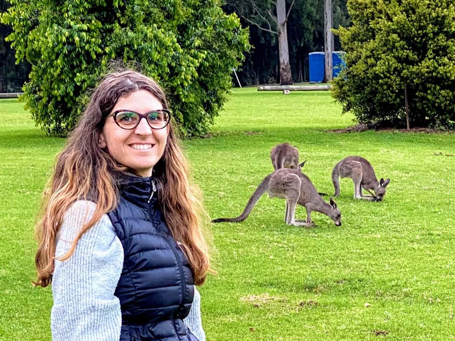 WILD Wombats and Kangaroo Experience, All Inclusive, Sydney - Macquarie Pass National Park: The First Big Scenery Hit