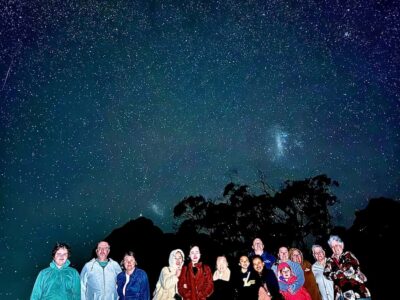 WILD Wombats and Kangaroo Experience, All Inclusive, Sydney - Getting Picked Up in Sydney Without the Stress