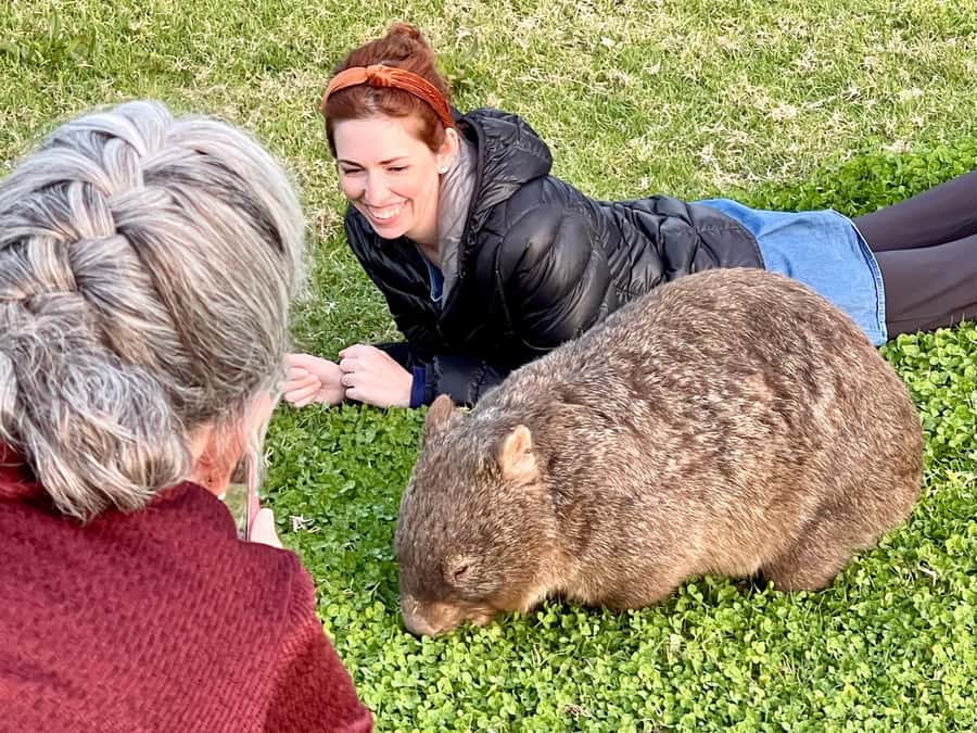 WILD Wombats and Kangaroo Experience, All Inclusive, Sydney - Sunset Dinner, Wildlife Scouting, and the Milky Way Finish