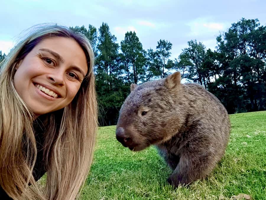 WILD Wombats and Kangaroo Experience, All Inclusive, Sydney - Wildlife Encounters: How to Get Close Without Spoiling the Moment